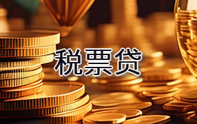 宝鸡税票贷